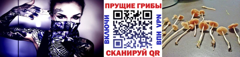 Галлюциногенные грибы ЛСД  где можно купить   Спасск-Рязанский 